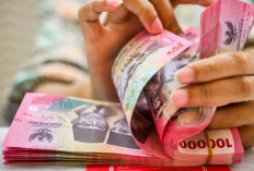 Rekomendasi Pinjol Bunga Rendah Tenor 12 Bulan Resmi OJK 2026: Modal KTP Tanpa Perlu Antre di Bank