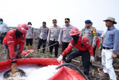 Karhutla di Pangkalan Lampam Jadi Perhatian, Kapolda Sumsel Cek Langsung Upaya Pemadaman