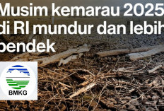 Mengapa Musim Kemarau 2025 Mundur dan Berdurasi Lebih Pendek, Berikut Ini Penjelasan BMKG 