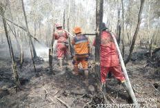 Personel Berjibaku Padamkan Karhutla di 7 Kecamatan Kabupaten OKI, Sumber Air Menipis
