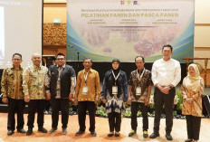 Panen Tepat Jadi Kunci Sawit Berkualitas, RPN-BPDP-Ditjenbun Gembleng 96 Petani Sumsel