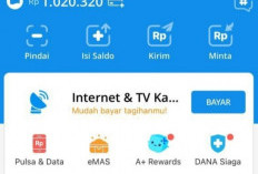 Lewat Aplikasi Penghasil Uang Ini Saldo DANA Gratis Langsung Cair, Begini Caranya!