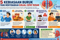 Kenali 5 Kebiasaan Buruk yang Membuat Ginjal Cepat Rusak, Nomor 3 Sering Dianggap Sepele