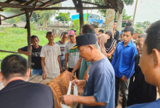 Penemuan Pria Tergeletak di Pondokan Desa Seribandung Tanjung Batu Ogan Ilir, Polisi Ungkap Dugaan Kematian