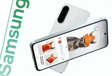 Samsung Galaxy A57 Punya Layar Flexible OLED, Bukan Rigid OLED Seperti Kakaknya Galaxy A56