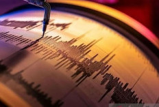 Venezuela Dilanda Gempa 7,1 Magnitudo, Peringatan Tsunami Dikeluarkan