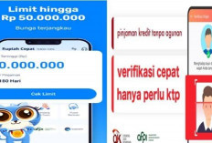 Saldo DANA Rp50 Juta Cair Lewat Pinjaman Online Ini, Syaratnya Mudah Kok, Simak Caranya Disini