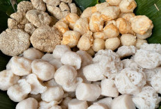 Pempek Palembang, Kuliner Tradisional dengan Cita Rasa Gurih dan Kuah Cuko