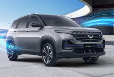 5 Alasan Mengapa Mobil Hybrid Semakin Diminati Di Indonesia