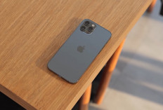 Review iPhone 12 dan Update Harga Bekas Terbaru, Masih Layak Dibeli?