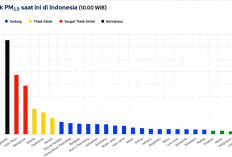 Cek Ini Kualitas Udara Indonesia: Palangkaraya Tembus 375 µg/m³, Daftar PM2.5 dari Kalimantan hingga Jawa