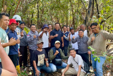 PLTS Komunal Jadi Solusi Akses Listrik Desa Pesisir OKI