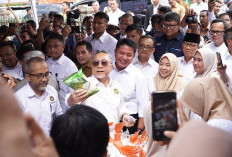 Gubernur Herman Deru Dampingi Menko Pangan Zulkifli Hasan Luncurkan Koperasi Merah Putih di Palembang