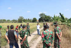 Desa Jukdadak OKI Bakal Panen Raya Serentak Bersama Presiden, Lokasi Ditinjau