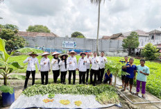 Lapas Tanjung Raja Ogan Ilir Panen Raya Kangkung dan Cabai, Wujud Nyata Program Ketahanan Pangan