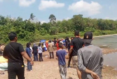 Heboh Penampakan Buaya Saat Tim SAR Gabungan Cari Korban Tenggelam di Rantau Alai Ogan Ilir