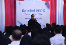 Kabar Gembira! Pengangkatan Honorer Jadi PPPK Paling Lambat Oktober 2025
