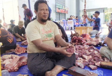 Daging Kurban Bisa Awet Berbulan-bulan, Ini Trik Menyimpannya di Freezer Agar Tetap Segar