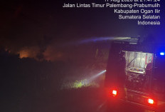 AWAS Api Karhutla Dekati Permukiman, Personel Polda Sumsel Berjibaku di Bypass Indralaya Ogan Ilir 