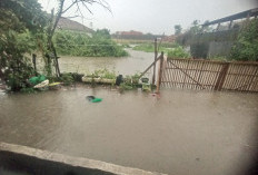 Prediksi BMKG, Palembang Diguyur Hujan Akhir Tahun, Cek Jalan Tut Wuri Handayani Tergenang