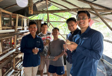 PT Bukit Asam Wujudkan Ekonomi Berkelanjutan Lewat 5 Program Padat Karya Inovatif