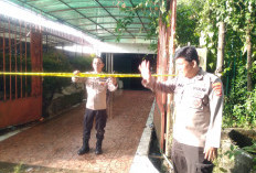 Kebakaran Hanguskan Satu Unit Rumah Kosong di Palembang, Driver Ojol Teriak Api dan Asap Tebal