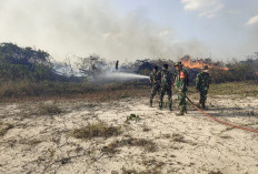 Lahan Cetak Sawah Rakyat 35 Hektar di Desa Cahya Bumi Lempuing OKI Terbakar, TNI Padamkan