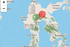 Warga Semburat, Gempa Magnitudo 6,0 Guncang Poso, BMKG: Tidak Berpotensi Tsunami