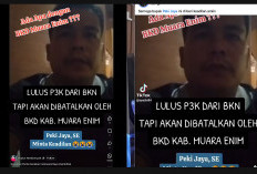 Calon PPPK di Muara Enim Bantah Disebut Mundur, Keterangan BKPSDM Beda Lagi   