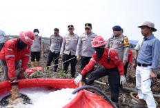 Kapolda Sumsel Bersama Kapolres OKI Tinjau Pemadaman Karhutla di Pangkalan Lampam