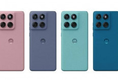 Motorola Edge 60 Fusion Hadirkan Layar P-OLED dengan Refresh Rate 120 Hz dan Kecerahan 1600 Nits