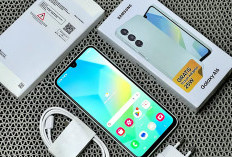 Meski Turun Harga Samsung A16 Tetap Dapat Kritik Soal Desain Kamera Depan Poni & Bezel Dagu Tebal 