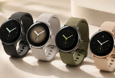 Pixel Watch 5 Bocor! Warna Baru Lebih Premium, Tapi Harganya Bikin Kaget
