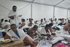 200 Ribu Lebih Jemaah Haji Indonesia Khusyu  Berzikir dan Berdoa Wukuf di Arafah