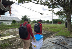 Kejari OKI Masih Pelajari Dokumen Hasil Penggeledahan Kasus KUR Petani Tambak