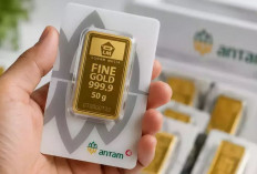 Harga Emas Antam 1 Oktober 2026 Merosot, Simak Rincian Harga 0,5 Gram hingga 1 Kg