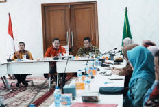 Bupati Banyuasin Pimpin Rakor E-Monev ProSN, Targetkan Kinerja Tinggi