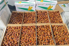 5 Menu Sehat untuk Buka Puasa, Bahan Sederhana dan Cara Membuatnya Mudah