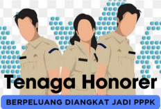 Kabar Gembira! Tenaga Honorer Lulusan SD Diangkat Jadi PPPK Paruh Waktu
