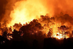 90 Hektare Hutan di Prancis Terbakar, 20 KK Dievakuasi