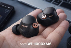 WF-1000XM6 Muncul ke Publik, Earbuds Flagship Sony dengan Empat Mikrofon, Ini Perkiraan Harganya