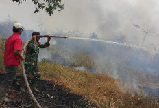 Pantang Menyerah, Babinsa Pedamaran Kendalikan Karhutla di Pedamaran OKI