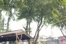 Prakiraan Cuaca Palembang 19 Juli 2026, Warga Diminta Waspadai Perubahan Cuaca Palembang, 19 Juli 2026
