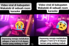 Media Sosial X Geger Video 29 Detik di Wakatobi, Sepasang Remaja Terekam Tak Senonoh di Room Karaoke
