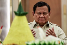 Siapa Pelaku Kecurangan Beras Disebut Presiden Sebagai Vampir Ekonomi? Ini Daftar Purusahaan yang Diperiksa