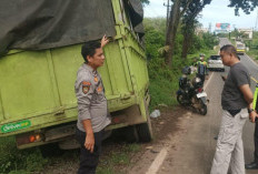 Viral, Truk Muatan Mie Dijarah Warga Usai Kecelakaan Tunggal di Jalan Betung-Sekayu, Sopir Lapor Polisi