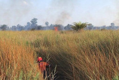 Hingga Mei 2025, Sudah 5,7 Hektare Lahan di Ogan Ilir Terbakar, Tim Gabungan Siagakan Diri Hadapi Karhutla