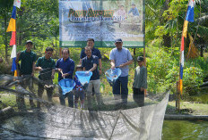 Transformasi PETI melalui Panen Bersama Budidaya Ikan Nila di Desa Tanjung Agung