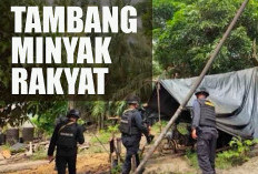 Ini Syarat Tambang Ilegal Jadi Resmi dan Minyak Bisa Diserap Negara Melalui K3S