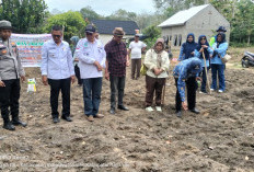 Penanaman Jagung Unggul di Desa Tanjung Lubuk Indralaya Selatan Ogan Ilir, Dukung Ketahanan Pangan Nasional